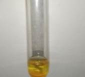 A glass tube with yellow liquid

Description automatically generated