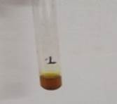 A test tube with brown liquid inside

Description automatically generated