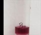 A test tube with a red liquid in it

Description automatically generated