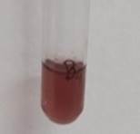 A test tube with a red liquid

Description automatically generated