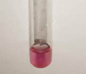 A test tube with a red liquid in it

Description automatically generated