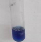 A blue liquid in a tube

Description automatically generated