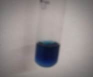 A test tube with blue liquid

Description automatically generated