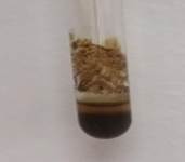 A test tube with brown substance in it

Description automatically generated