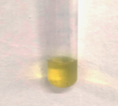 A close up of a test tube

Description automatically generated
