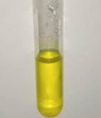 A test tube with yellow liquid

Description automatically generated