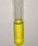 A test tube with yellow liquid

Description automatically generated