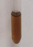 A test tube with brown liquid

Description automatically generated