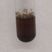 A brown liquid in a tube

Description automatically generated