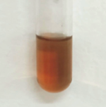 A test tube with brown liquid in it

Description automatically generated