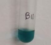 A test tube with a blue liquid in it

Description automatically generated