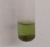 A test tube with green liquid in it

Description automatically generated