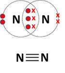 How do the Nitrogen atoms combine in a Nitrogen molecule?