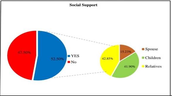 A pie chart showing the same number of support

Description automatically generated with medium confidence