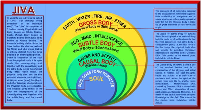 A diagram of the five elements

Description automatically generated