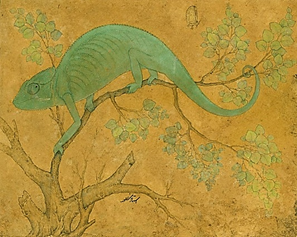 File:Ustad Mansur Chameleon.jpg