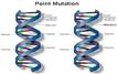 Mutation – Grade 9 Understanding for IGCSE Biology 3.34 3.37B ...