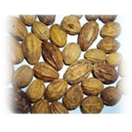 Light Yellow Myrobalan Nuts, Packaging Size: 25 kg